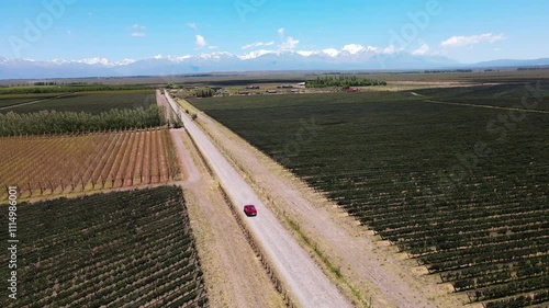Car riding among vineyards in Mendoza, Argentina. Aerial view