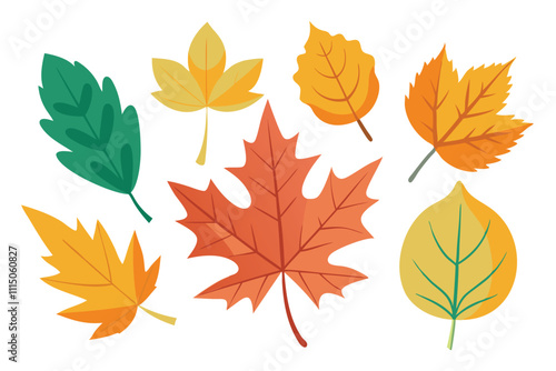  Maple ash leaves set isolated flat vector illustration on white background