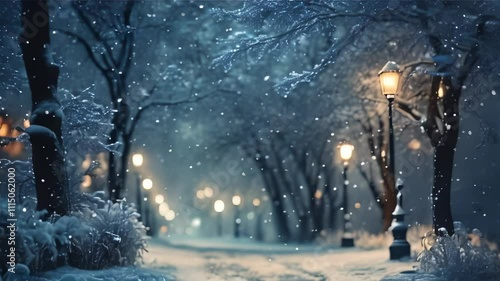 Snowy Night in the Park