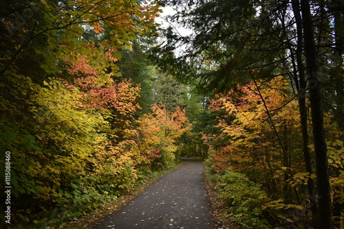 Minnesota Fall Trail