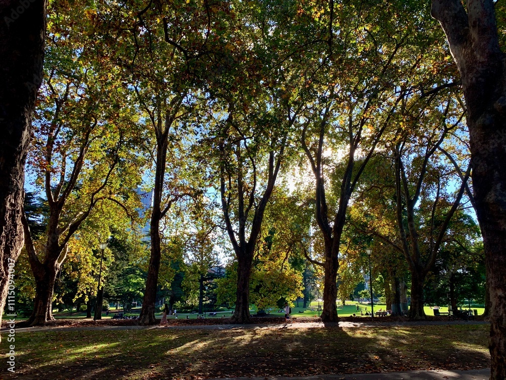 Naklejka premium In the woods