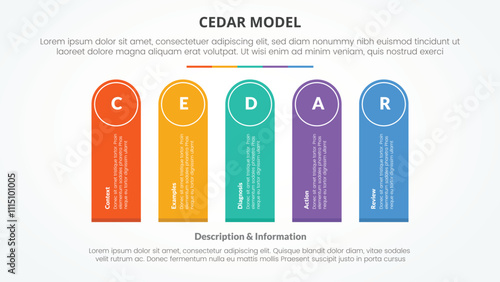 CEDAR feedback model infographic concept for slide presentation with round rectangle shape vertical rotate with 5 point list with flat style