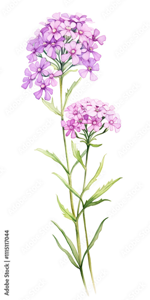 Fototapeta premium Beautiful floral image