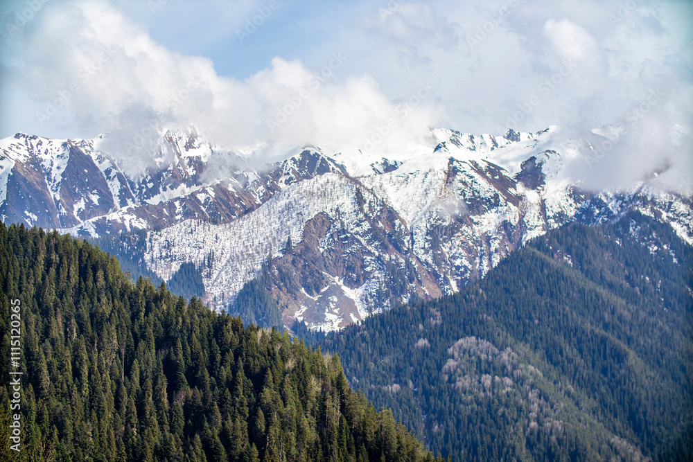 Fototapeta premium A beautiful snowy mountain range featuring trees on its slopes
