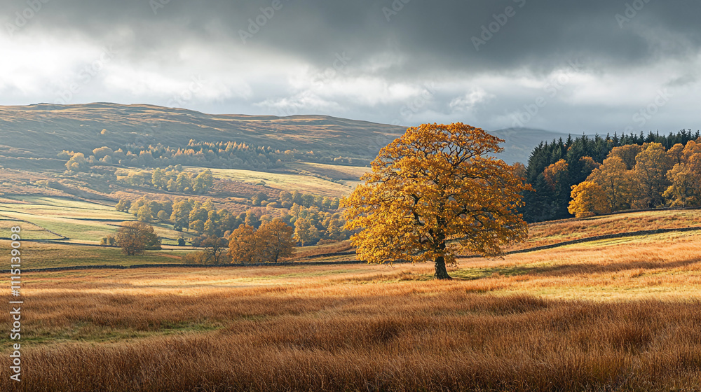 Fototapeta premium Autumn landscape with a solitary tree in a rural setting under a cloudy sky