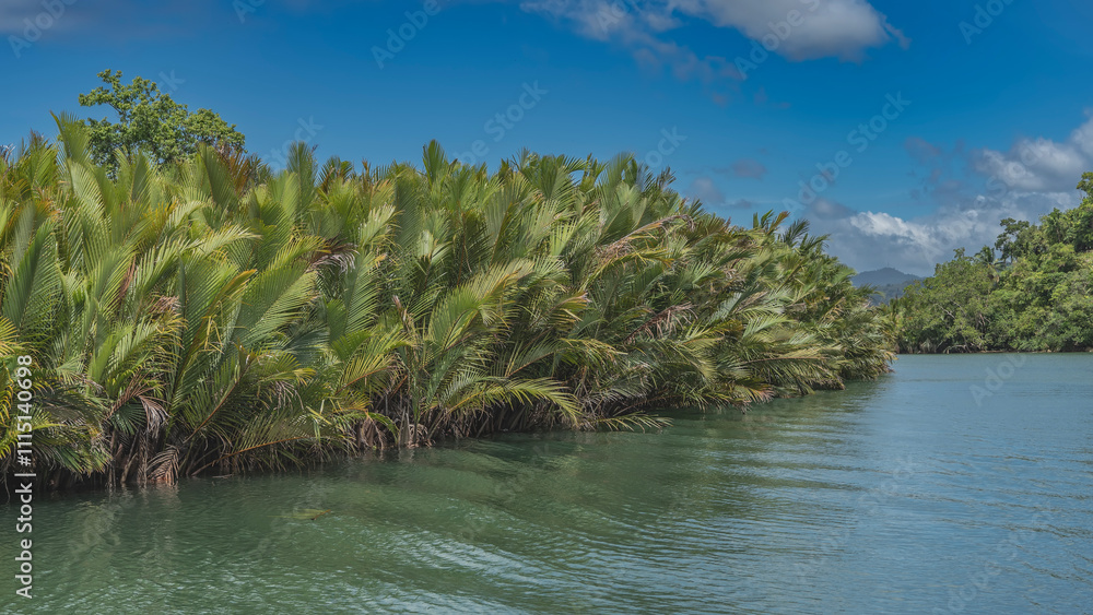 Impenetrable thickets of lush tropical palm trees on the banks of the turquoise river. The riverbed bends. Ripples on the water. Blue sky, clouds. Philippines. Bohol. Loboc River Impenetrable thickets of lush tropical palm trees on the banks of the turquoise river. The riverbed bends. Ripples on the water. Blue sky, clouds. Philippines. Bohol. Loboc River