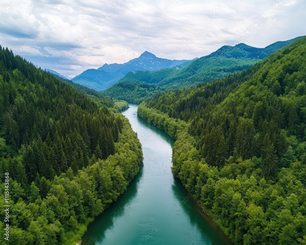 Fototapeta premium Mountain river meandering through a forest, surrounded by cliffs and remote peaks, peaceful and wild