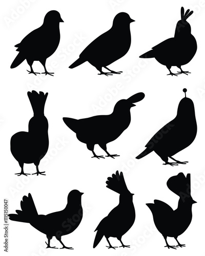 Set of partridge bird silhouettes in various poses. isolated vector on white background.