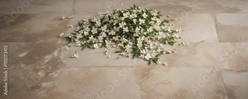 Scattered arabian jasmine flowers on a stone floor , scattered flowers, arid terrain, desert landscape photo