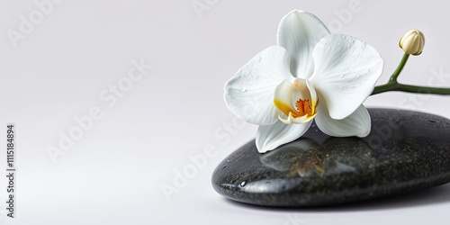 Close up shot of a white orchid flower covered in stone-like water droplets, studio shot, stone water drops