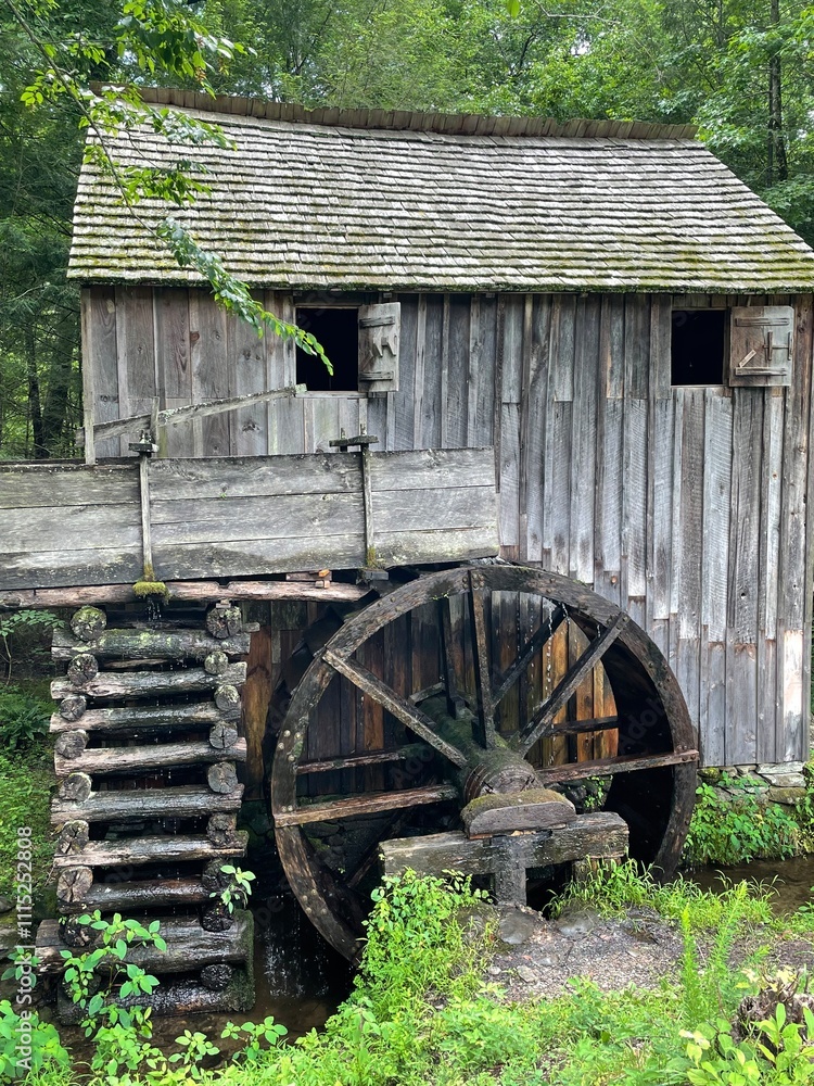 Obraz premium old wooden mill