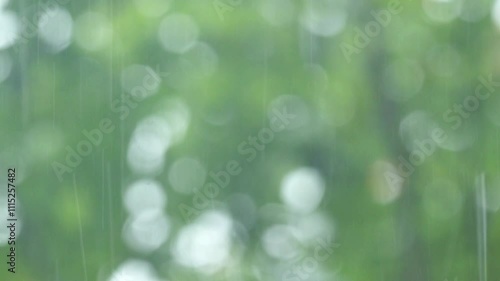 The bokeh circles from light shining through the leaves of trees on rainly time, natural green bokeh blurred background, Nature abstract background, nature green bokeh. 4K video footage photo