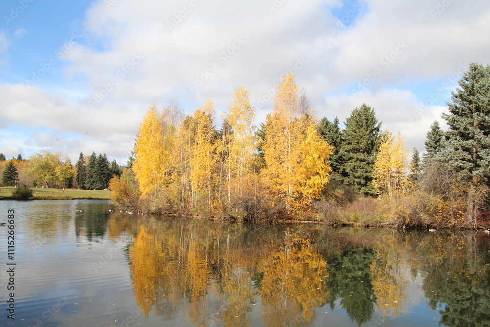 Fototapeta premium Glory Of Autumn