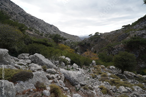 panorama from Rouvas gorges and mountains , Crete photo