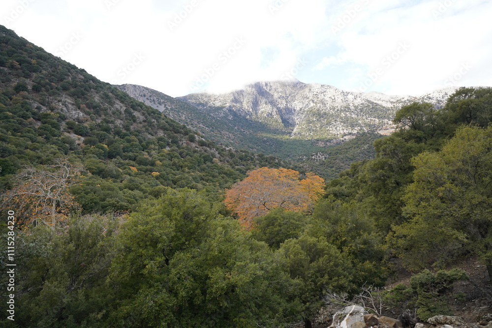 Fototapeta premium Rouvas gorges and mountains panorama , Crete