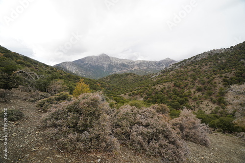  Rouvas gorges and mountains panorama , Crete photo