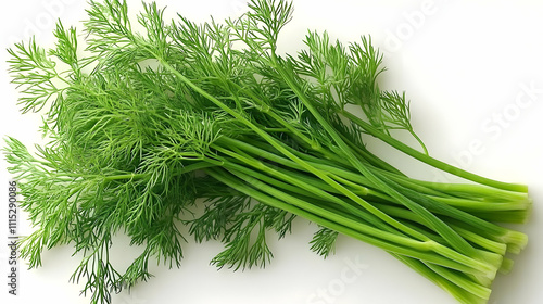 Fresh Green Dill Sprouts on...
