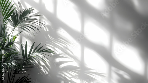 Sunlight Filters Through Le...