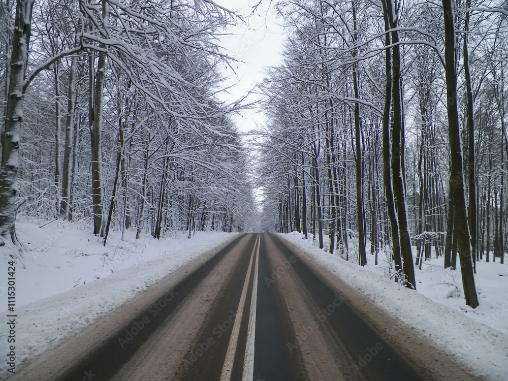Fototapeta premium Road through a forest covered with snow. Wiezyca Poland.