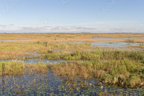 A scenic view of Lacassine National Wildlife Refuge, in Lake Arthur, Louisiana. photo