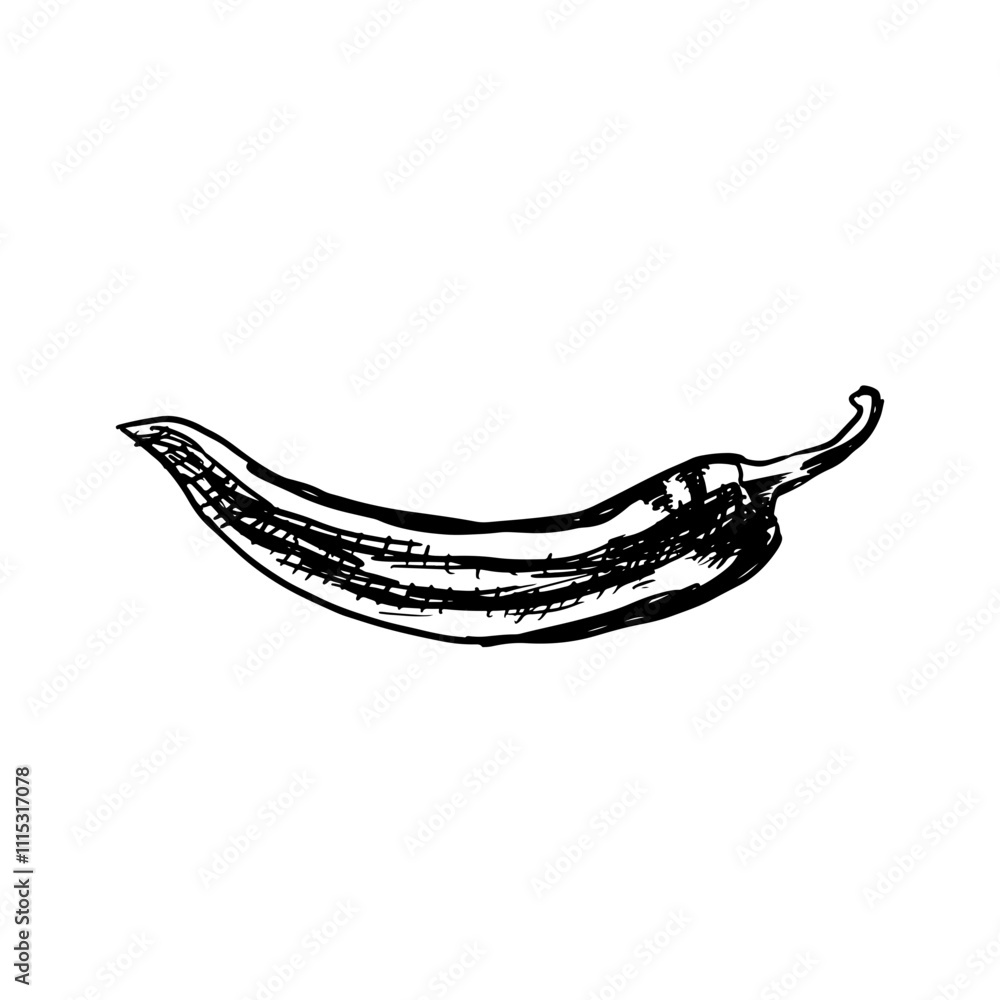 Illustration of an chili spice hand drawn Illustration of an chili spice hand drawn