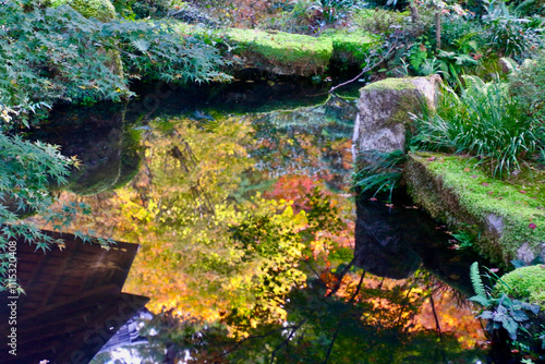 秋の三千院・聚碧園・しゅうへきえん（京都・左京区） photo