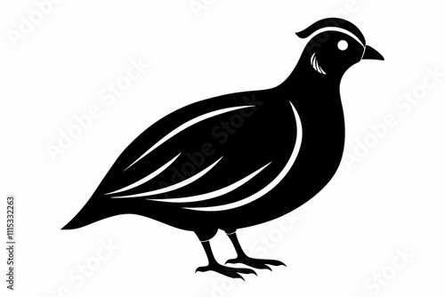 Chukar silhouette vector,Charming Silhouette of Chukar Bird Vector Illustration on white background.