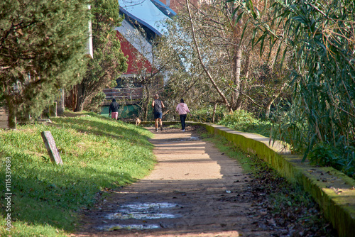 Group of three individuals enjoying a peaceful stroll with a dog in nature photo