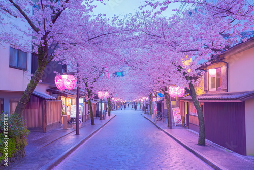 Spring blossom street in the evening