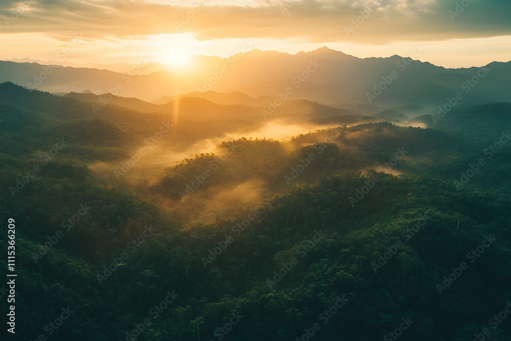 Golden Hour Mountain Forest Landscape Golden Hour Mountain Forest Landscape
