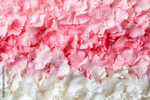 Soft Pink and White Flower Petals Spread Across a Flat Surface