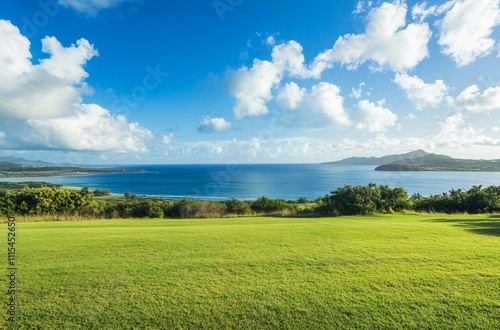 A clean and spacious grassy field with a clear blue sky, perfect for a car advertisement backdrop. An empty parking lot stretches out, with the vast ocean visible in the distance, creating an ideal se