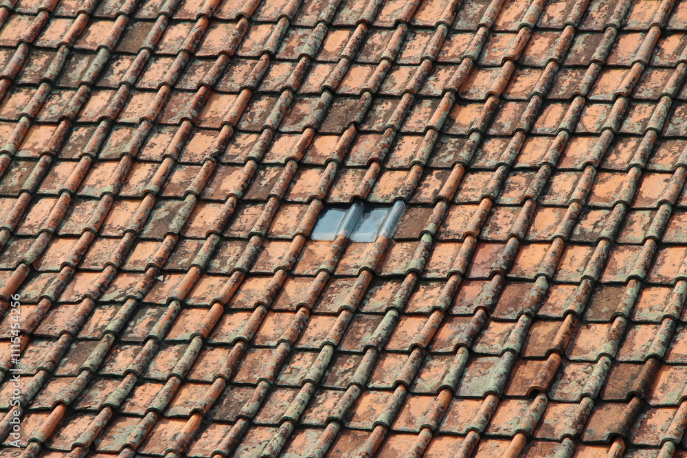 Fototapeta premium A close-up view of an old terracotta roof showing age and weathering, with a single skylight visible. Aged Terracotta Roof Tiles with a Single Skylight.