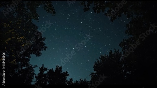 Fotografie Stargazing in a Moonlit Forest. Ethereal and enchanting
