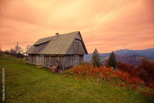 View of colorful slopes of mountains during sunset in autumn. Old wooden barn on the slope. Carpathian Mountains, Ukraine photo