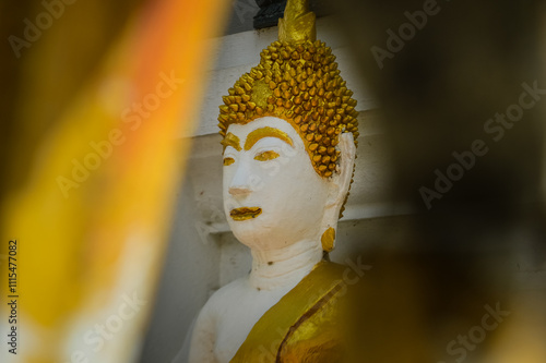 Buddha statue , Symbols of Buddhism, South East Asia at Wat Pa Daed temple, Muang Chiang Mai, Chiang Mai, Northern Thailand photo