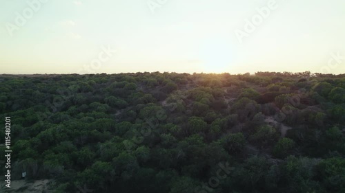 Shot from a drone flying over the bushy ground to meet the setting set sun