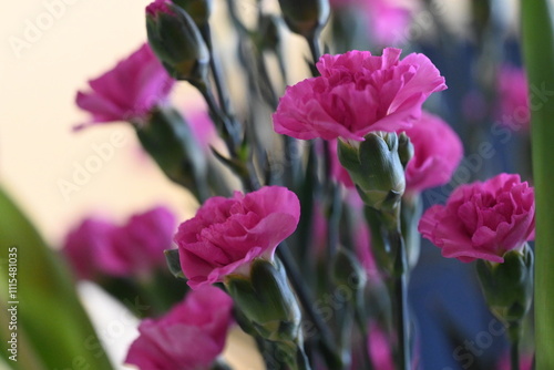 a bouquet of flowers in a vase