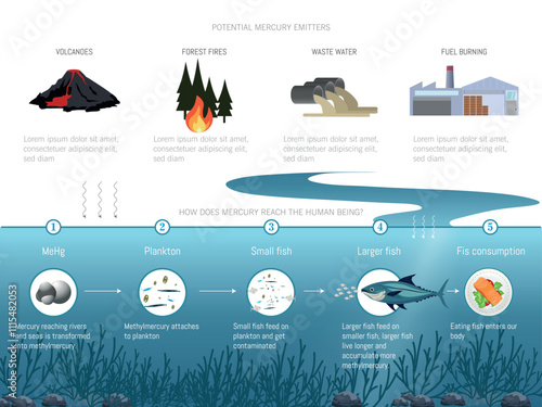 Infographic explaining mercury emission sources, its transformation into methylmercury, and its accumulation in the aquatic food chain.