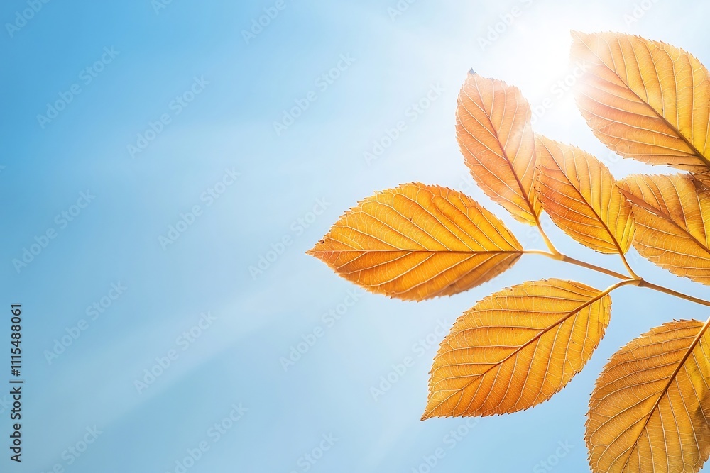 Obraz premium Vibrant Autumn Leaves Swirling Amidst Clear Blue Sky
