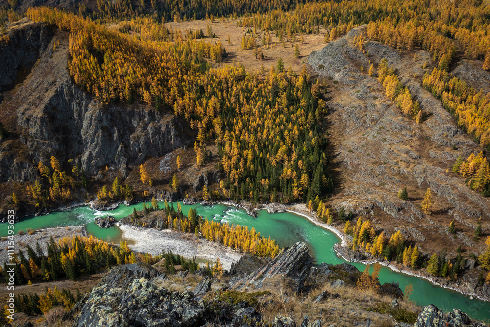 Fototapeta premium Aerial view of stunning Altai landscape in fall, featuring lush forest, rocky hills, and a winding turquoise river offering breathtaking natural beauty and serene autumn atmosphere.