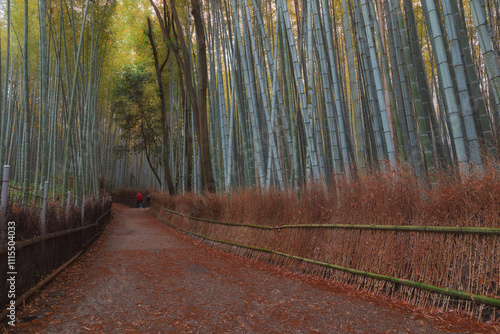 Arashiyama bamboo forest at Kyoto photo