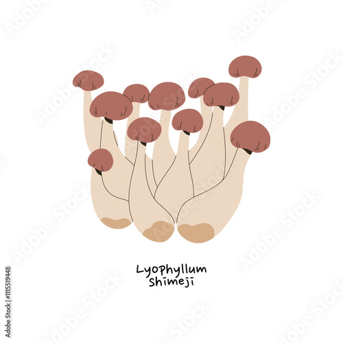 Icon of Buna or Hon shimeji. Group of little mushrooms with name. Edible bolete, autumn forest fungus, raw boletus for eating. Woodland harvest. Flat isolated vector illustration on white background