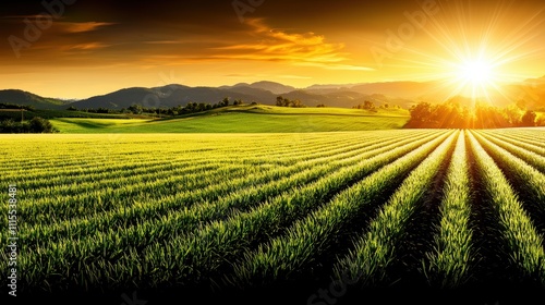 Golden Sunrise Over Lush Green Fields and Rolling Hills Landscape