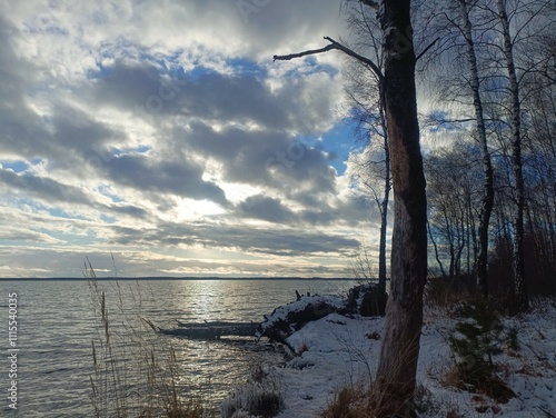 Rekyva forest and lake during sunny winter day. Pine and birch tree woodland. Wavy lake. Bushes and small trees are growing in woods. Sunny day without clouds in sky. Snowy. Nature. Rekyvos miskas. photo