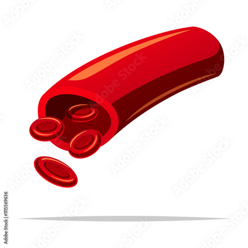 Blood vessel artery vector isolated illustration