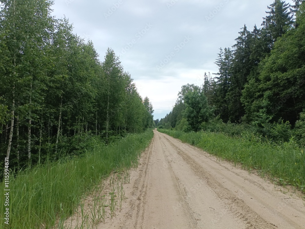 Road in forest in Siauliai county during cloudy summer day. Oak and birch tree woodland. cloud day with white clouds in sky. Bushes are growing in woods. Sandy road. Nature. Summer season. Miskas. Road in forest in Siauliai county during cloudy summer day. Oak and birch tree woodland. cloud day with white clouds in sky. Bushes are growing in woods. Sandy road. Nature. Summer season. Miskas.