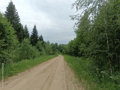 Road in forest in Siauliai county during cloudy summer day. Oak and birch tree woodland. cloud day with white clouds in sky. Bushes are growing in woods. Sandy road. Nature. Summer season. Miskas.