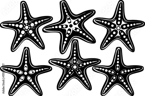 Set of starfish silhouette vector illustration, Starfish icon collection