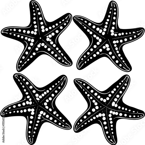 Set of starfish silhouette vector illustration, Starfish icon collection